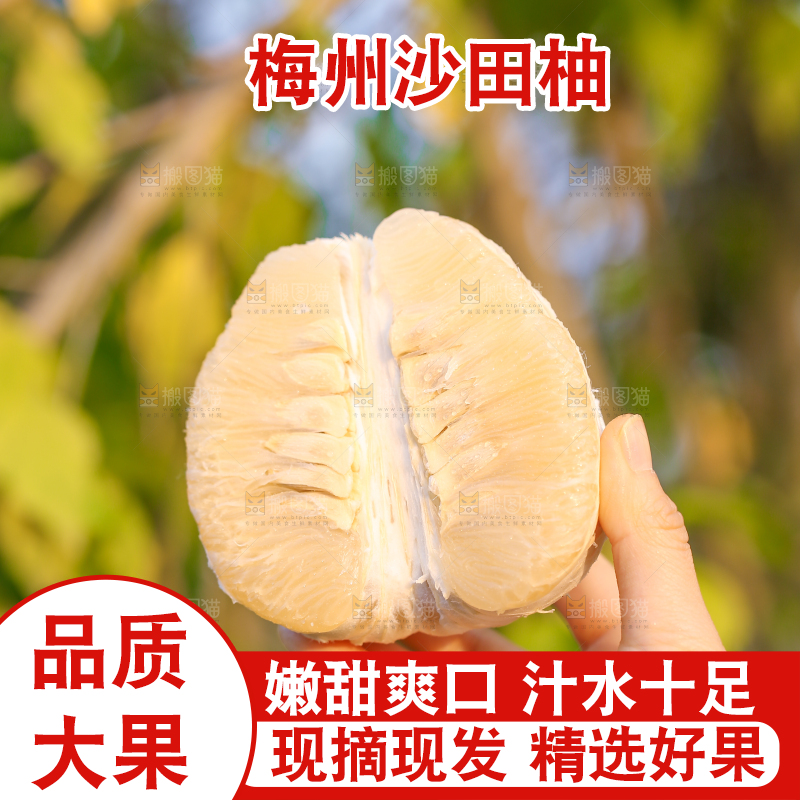 手里拿着沙田柚