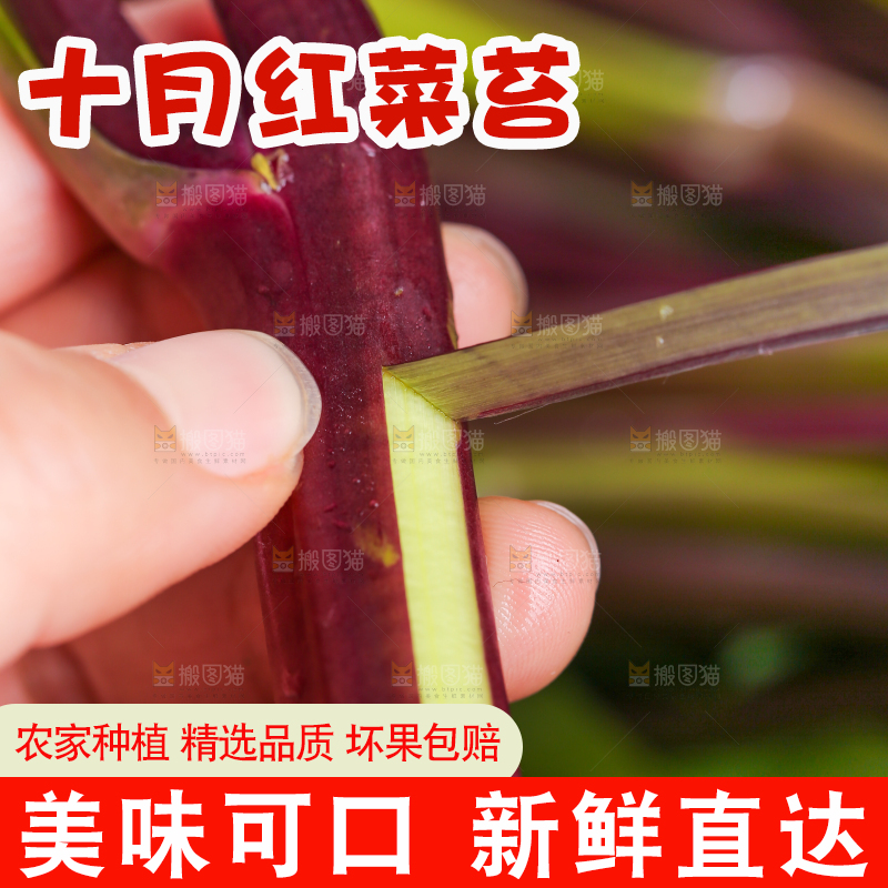 深底上的红菜苔