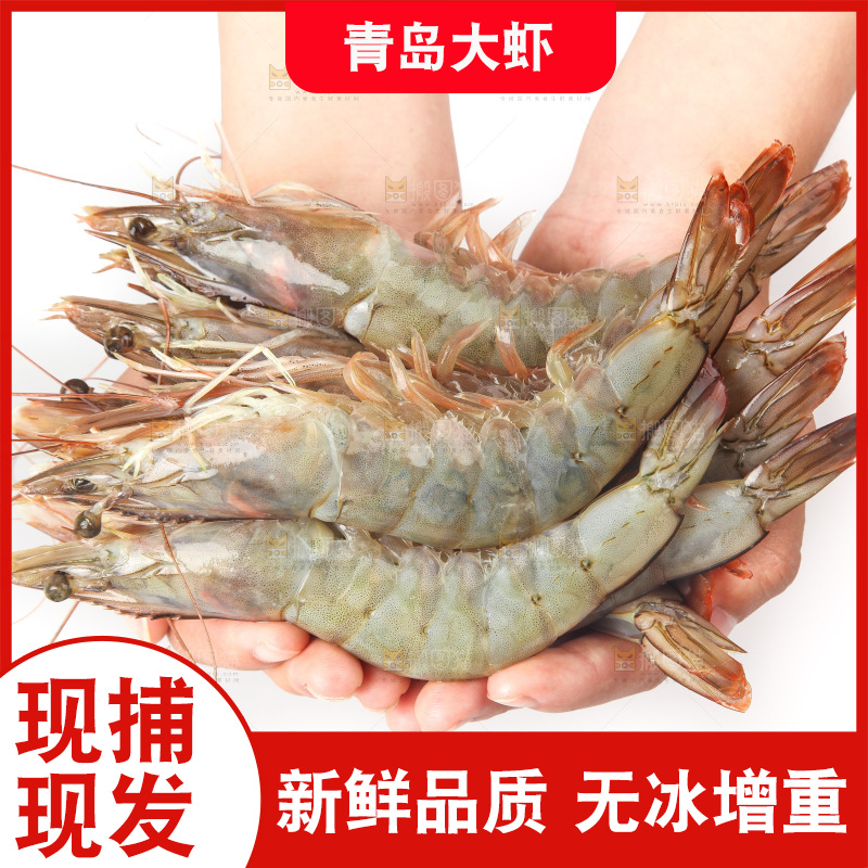 白底上的大虾