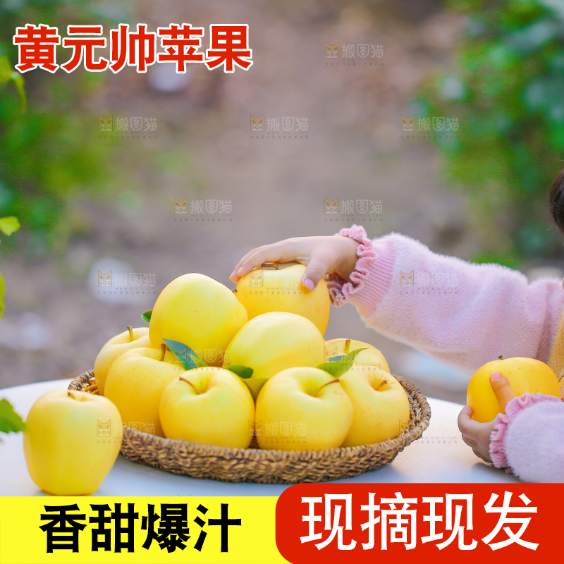 手里拿着黄元帅苹果