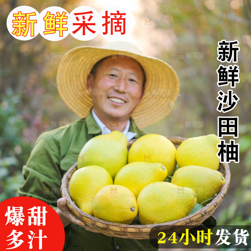 手里拿着沙田柚