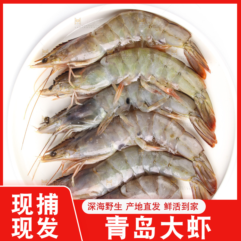 白底上的大虾
