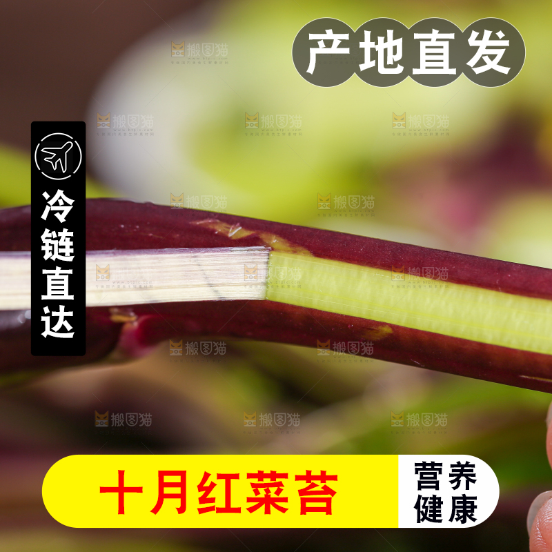 深底上的红菜苔