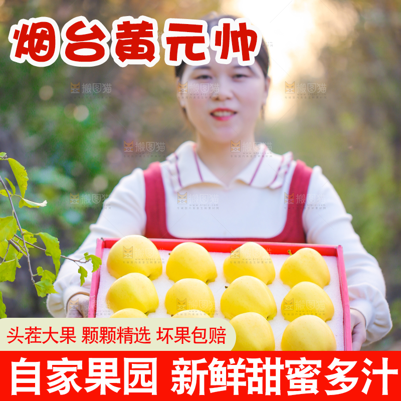 手里拿着黄元帅苹果