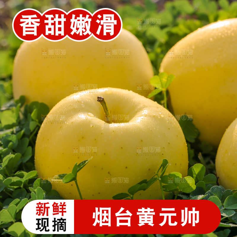 手里拿着黄元帅苹果