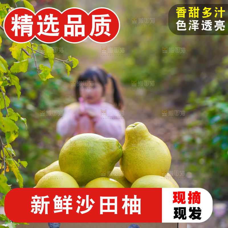 手里拿着沙田柚