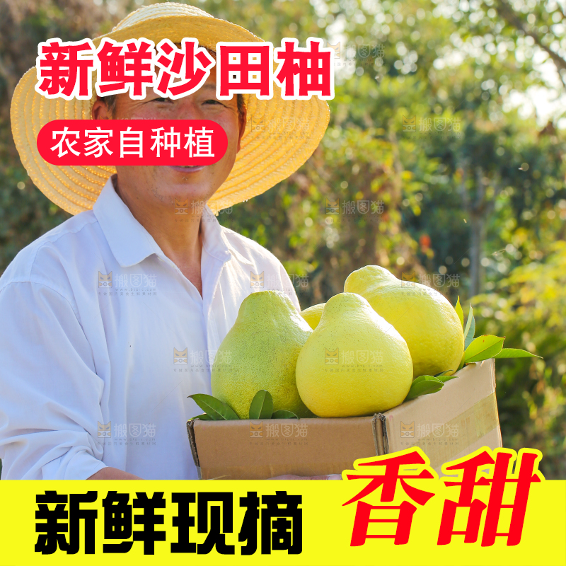 手里拿着沙田柚