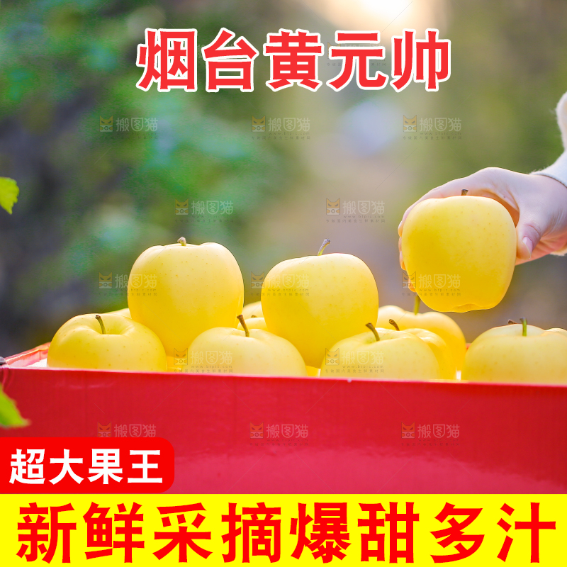 手里拿着黄元帅苹果