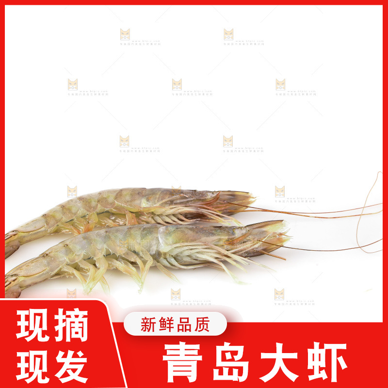 白底上的大虾