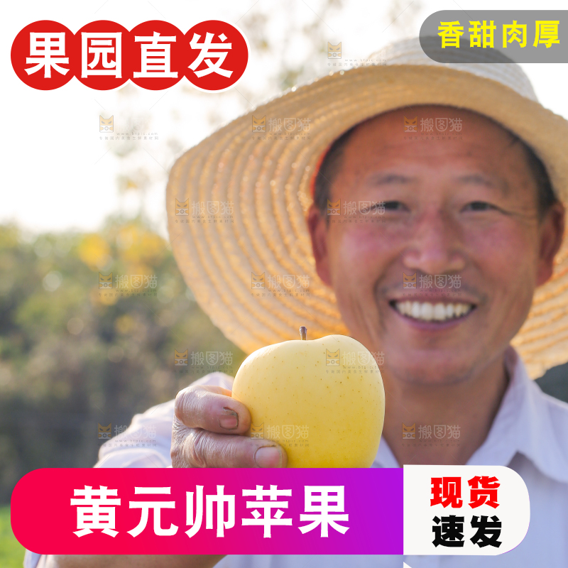 手里拿着黄元帅苹果
