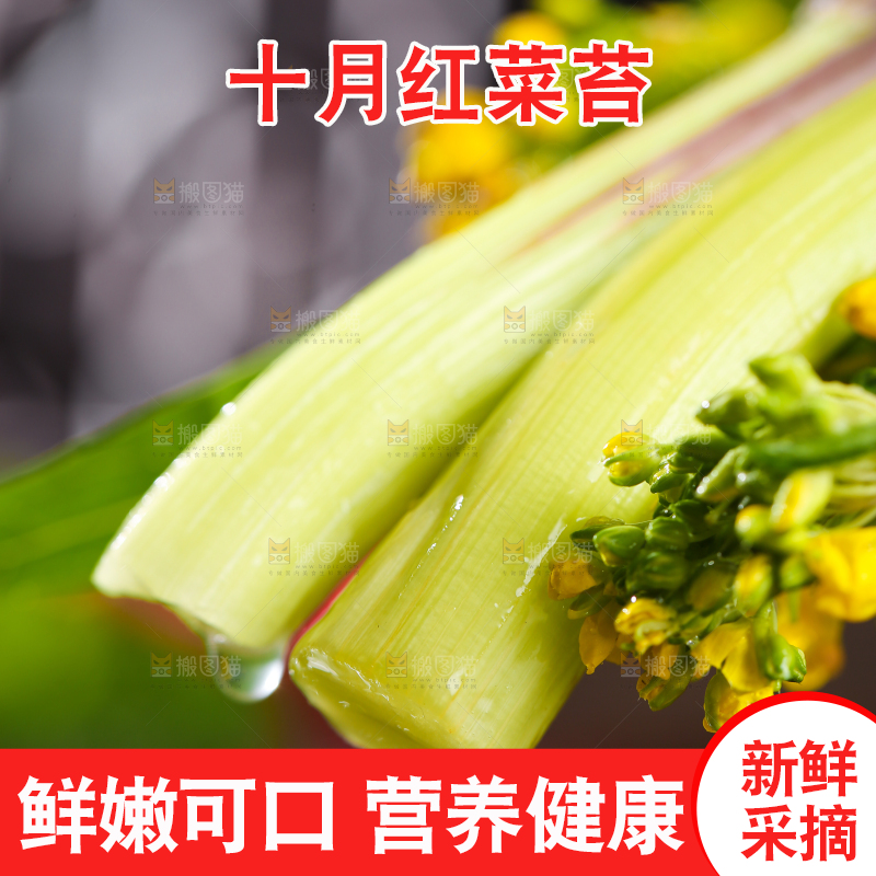 深底上的红菜苔