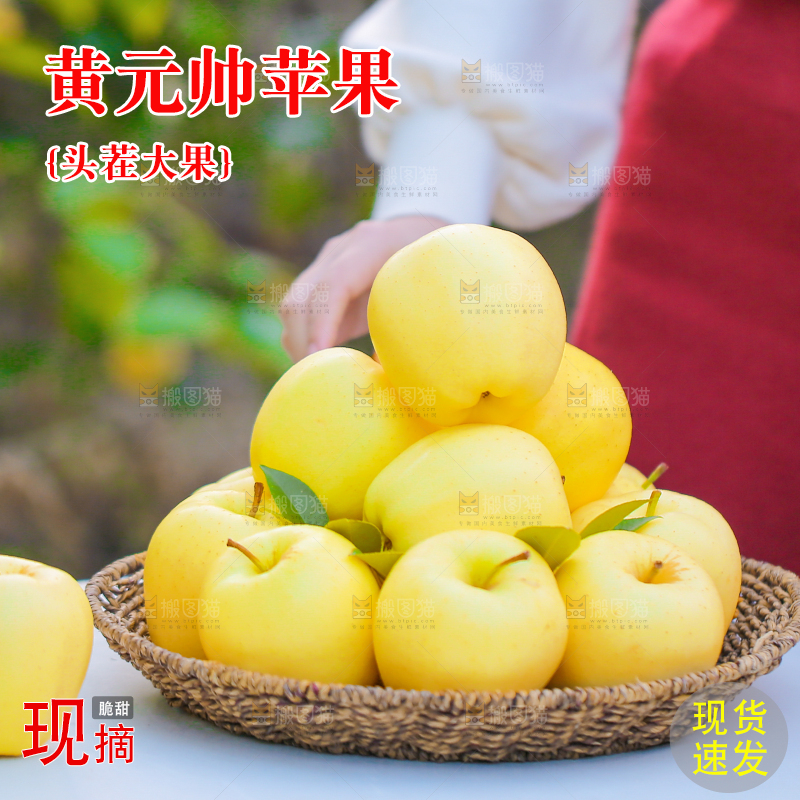 手里拿着黄元帅苹果