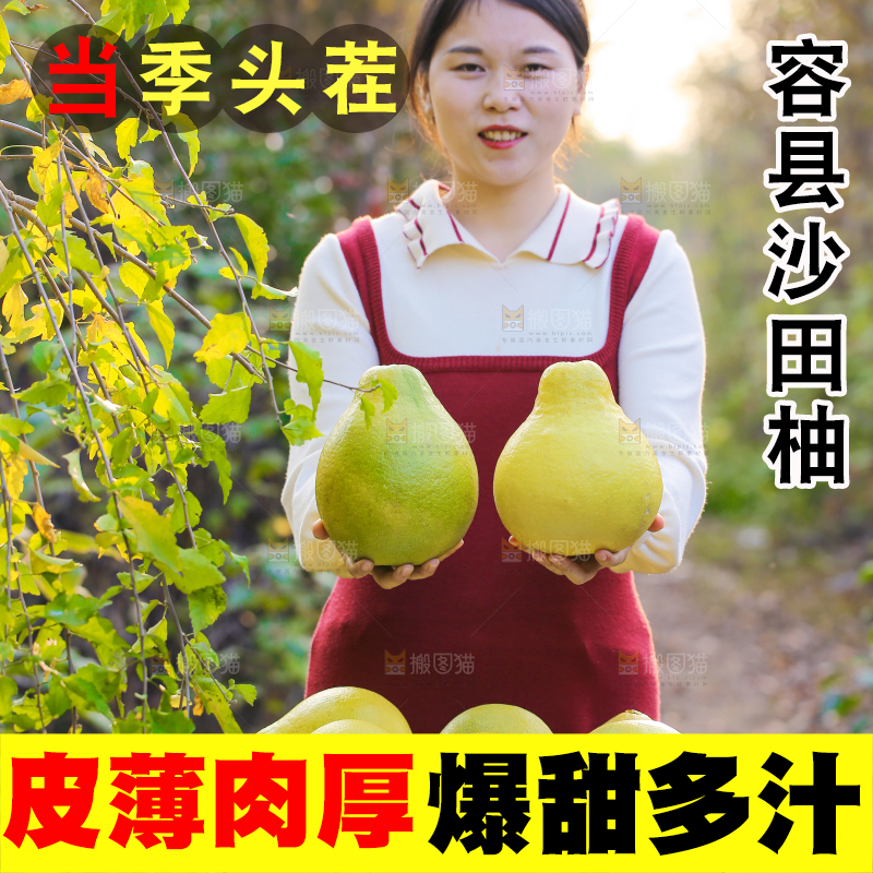 手里拿着沙田柚