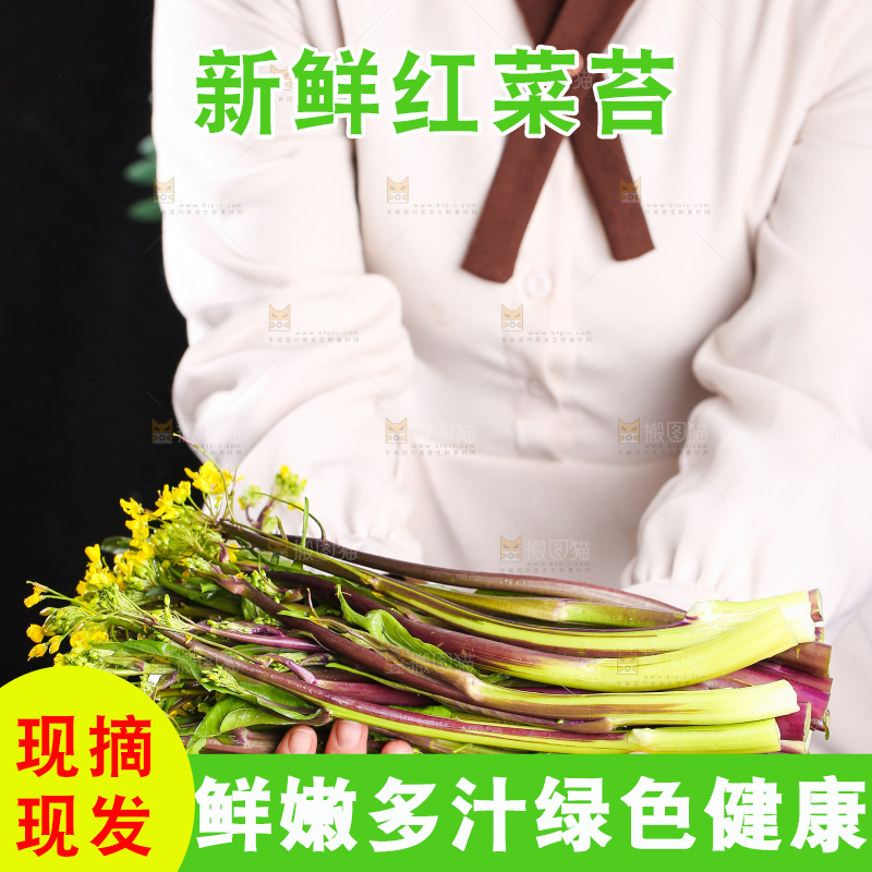 深底上的红菜苔