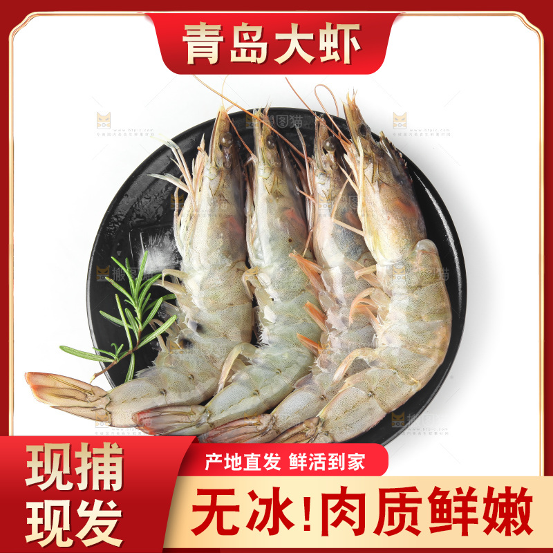 白底上的大虾