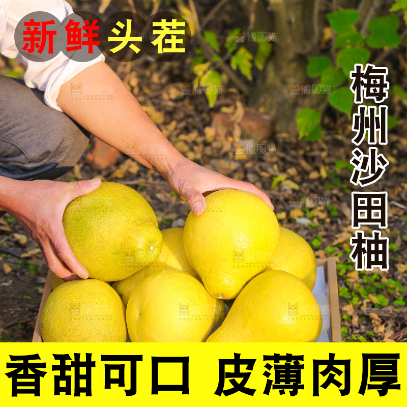 手里拿着沙田柚
