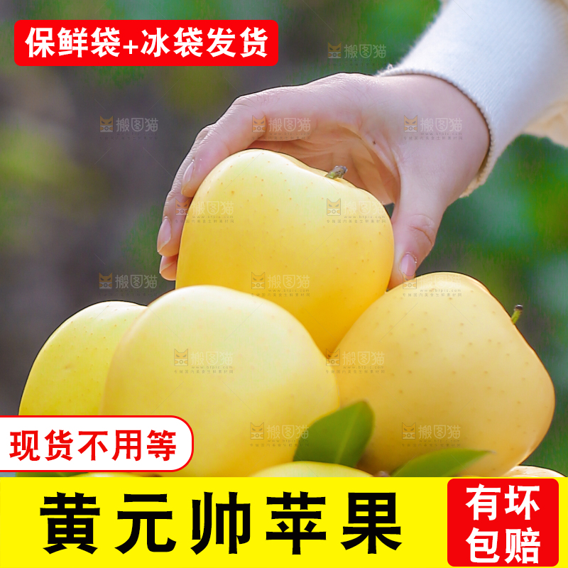 手里拿着黄元帅苹果