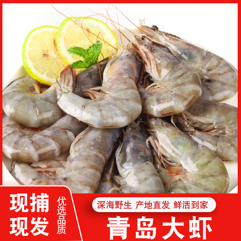 白底上的大虾