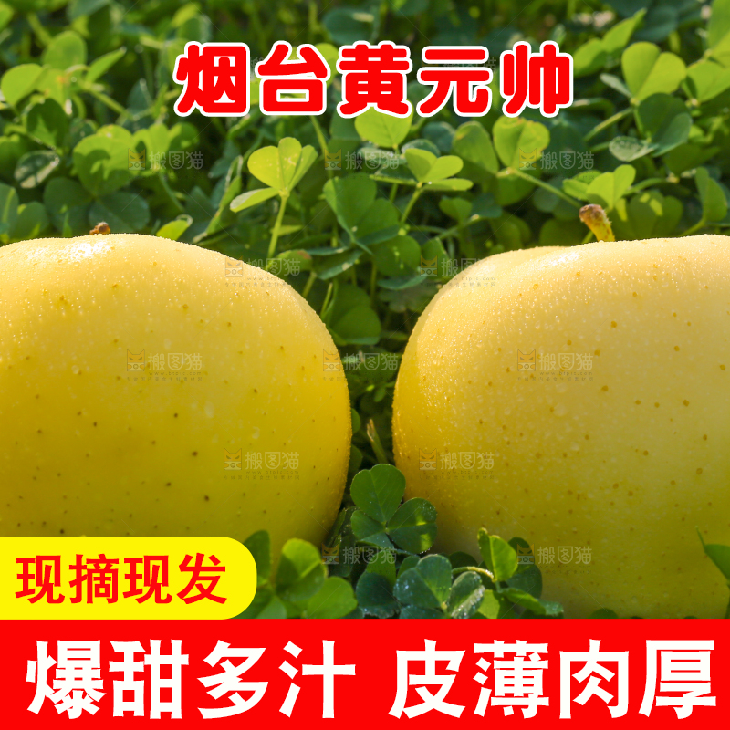 手里拿着黄元帅苹果