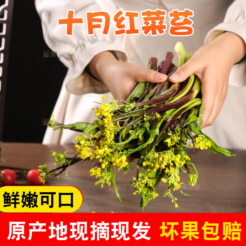 深底上的红菜苔