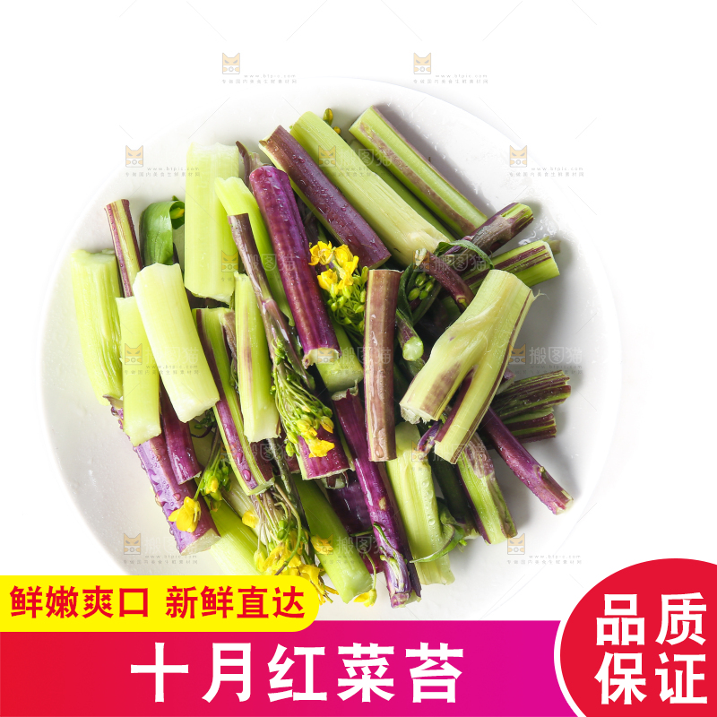 白底上的红菜苔