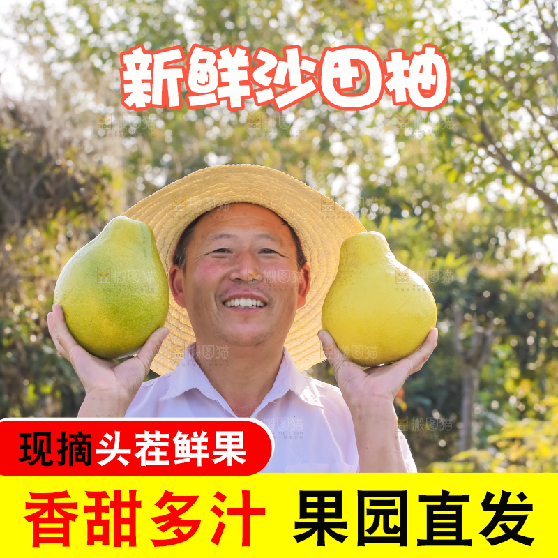 手里拿着沙田柚
