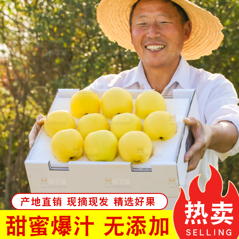 手里拿着黄元帅苹果