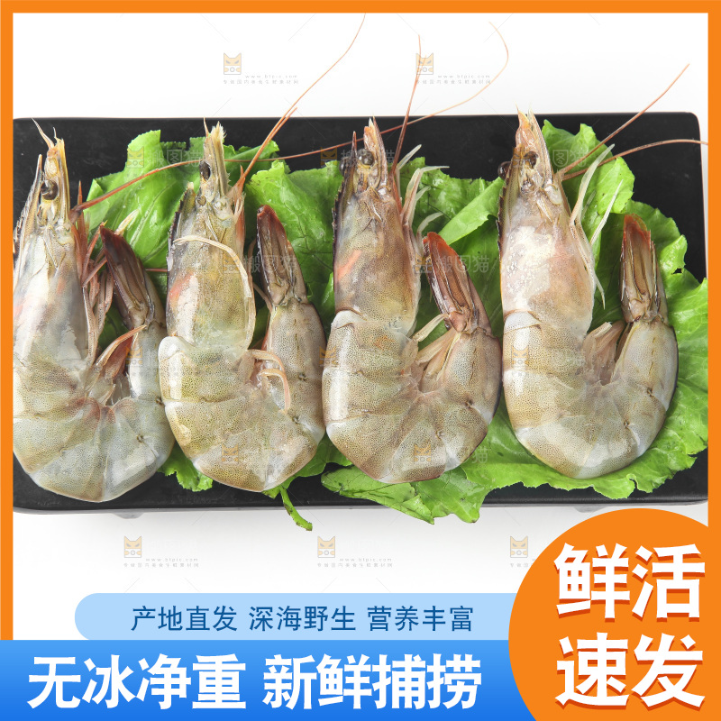 白底上的大虾