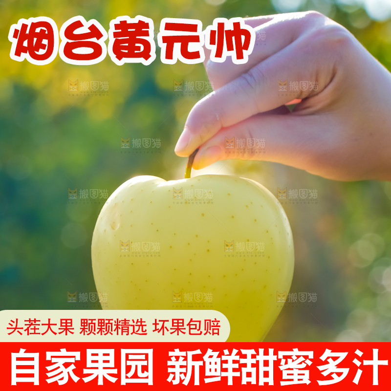手里拿着黄元帅苹果
