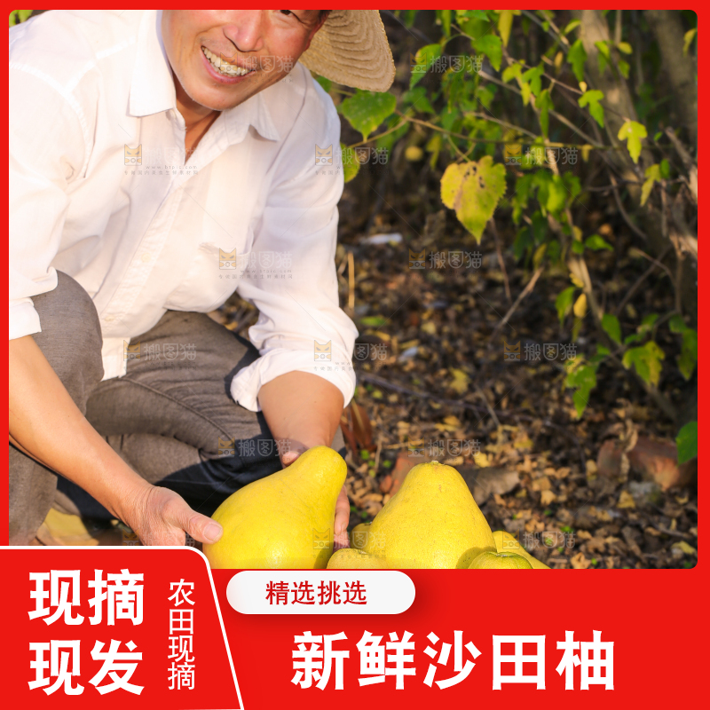 手里拿着沙田柚