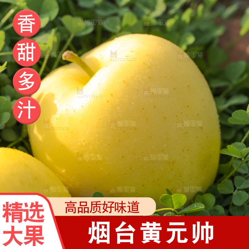 手里拿着黄元帅苹果