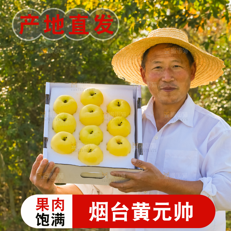 手里拿着黄元帅苹果