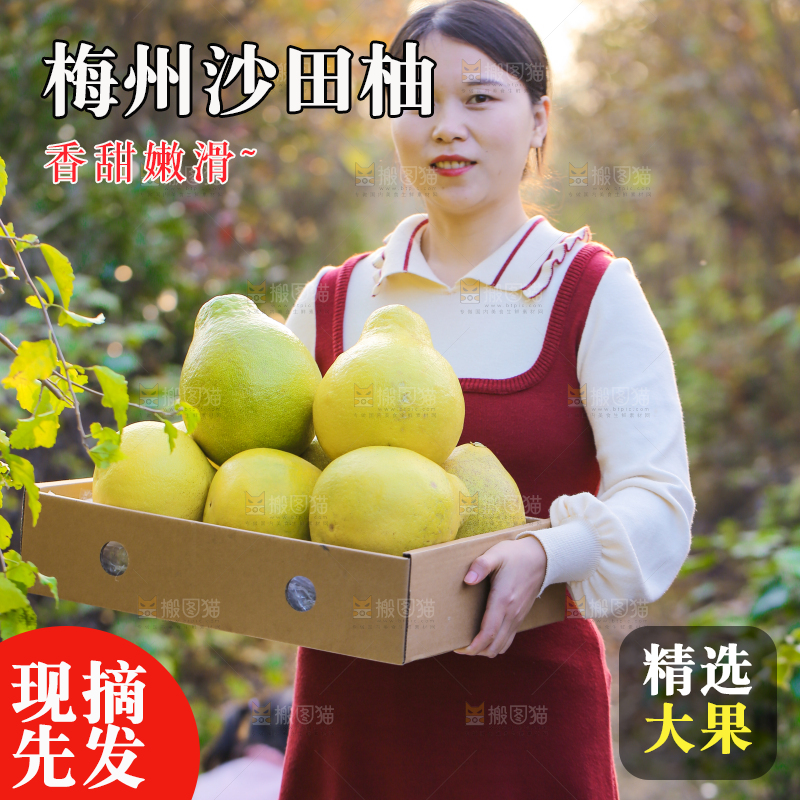 手里拿着沙田柚
