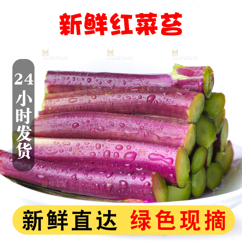 白底上的红菜苔