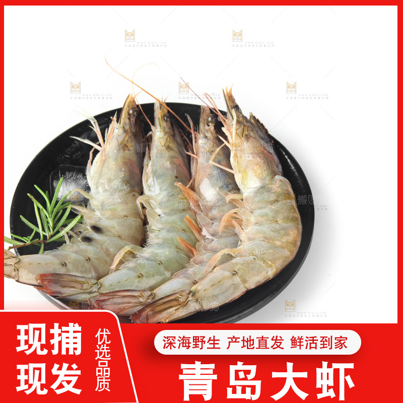 白底上的大虾