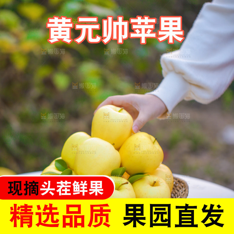 手里拿着黄元帅苹果