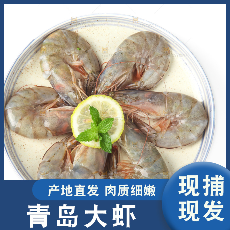 白底上的大虾