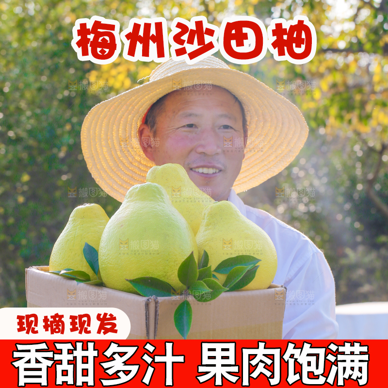 手里拿着沙田柚