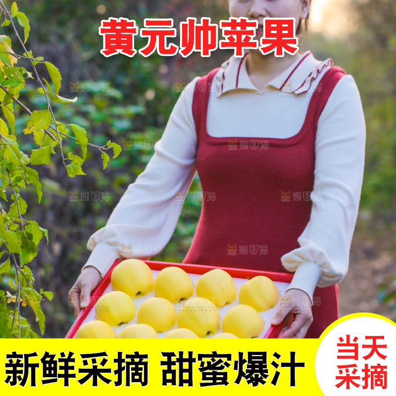 手里拿着黄元帅苹果