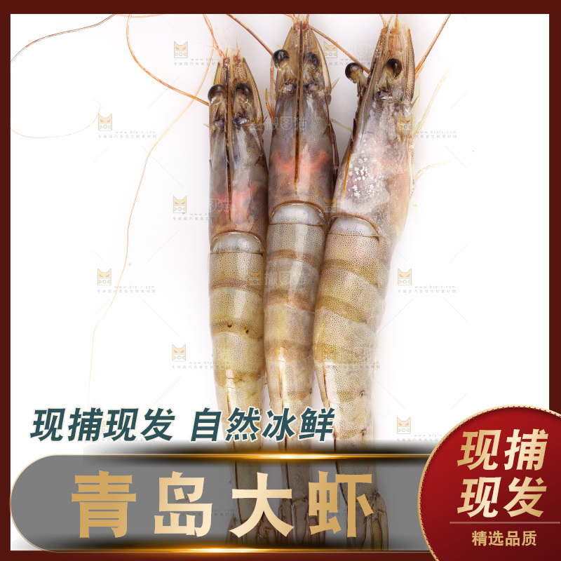 白底上的大虾