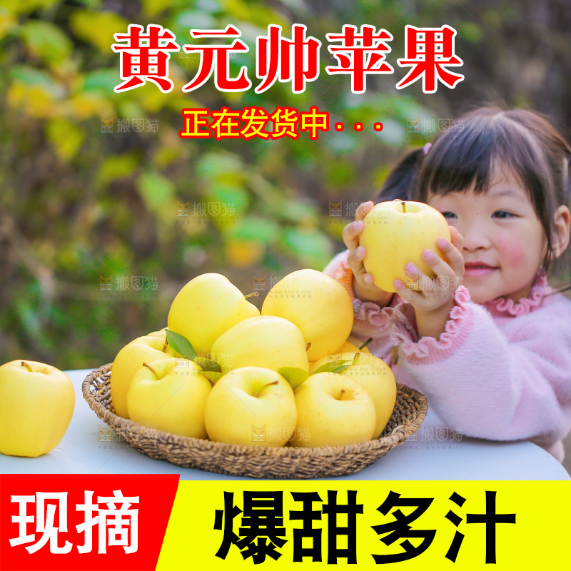 手里拿着黄元帅苹果