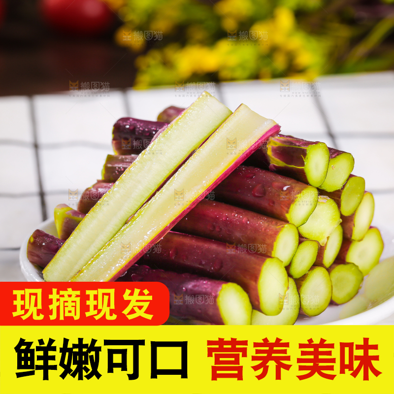 浅底上的红菜苔