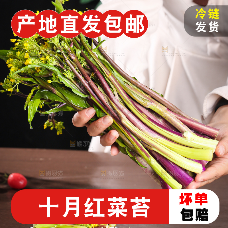 深底上的红菜苔