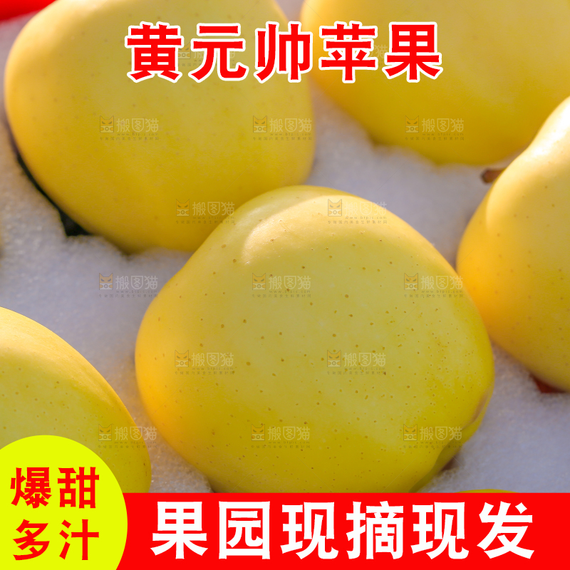手里拿着黄元帅苹果