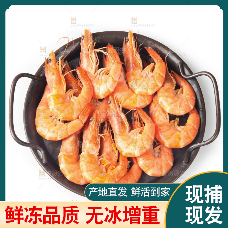 白底上的大虾