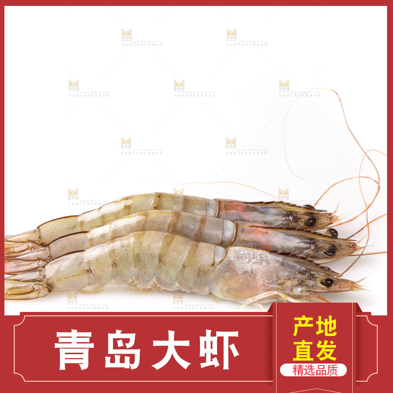 白底上的大虾