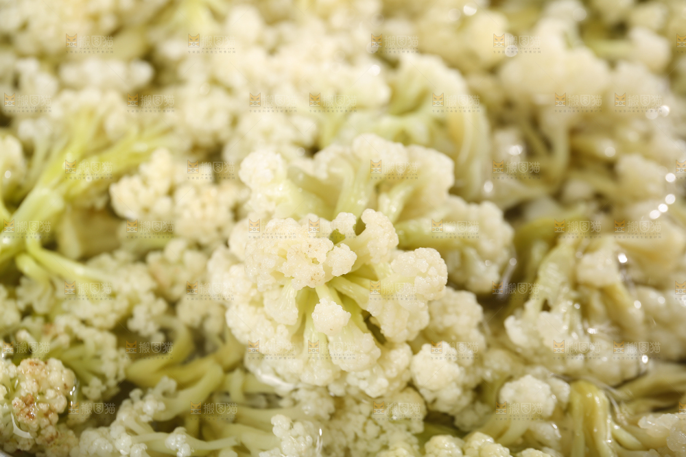 干花菜