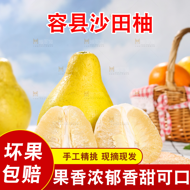 浅底上的沙田柚