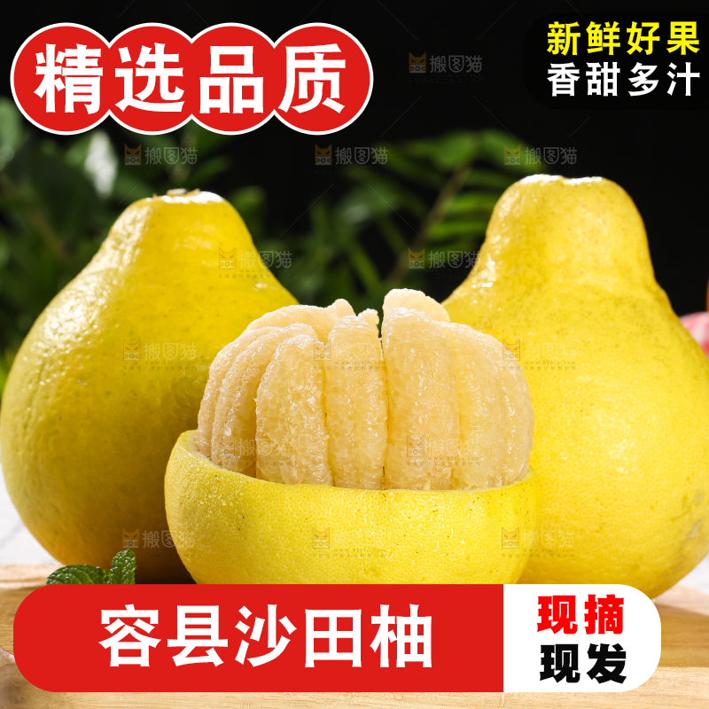 浅底上的沙田柚