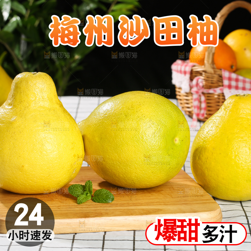 浅底上的沙田柚